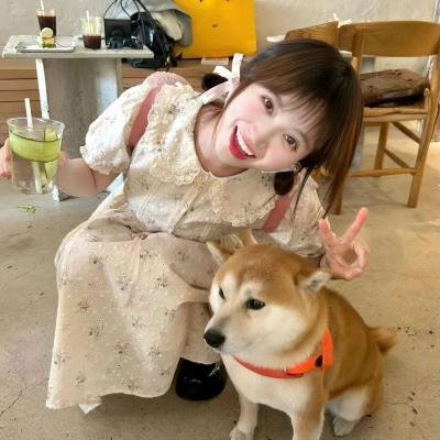 掮客 海报