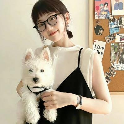 牢笼 海报