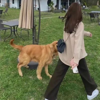 第一夫人 海报